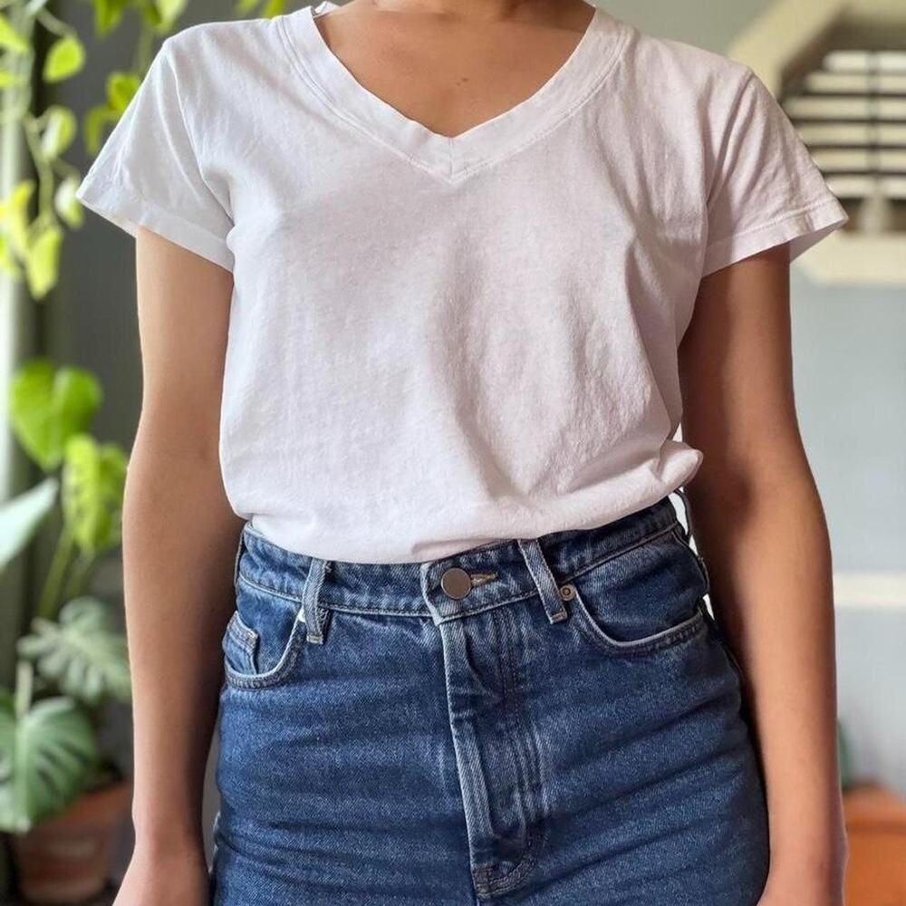Perfectwhitetee classic v-neck tee (XS)